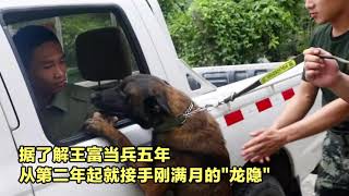 再見了戰友！實拍：退伍老兵即將離開 軍犬“抱腰”極力挽留