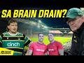 South Africa's Biggest Rugby Strength? Producing Too Much Talent