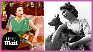 Queen Elizabeth II and her Corgis: A Complete History