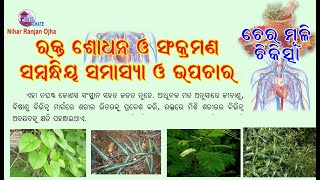 ଚେରମୂଳି ଚିକତ୍ସା - ରକ୍ତଶୋଧକ ସମ୍ବଧୀୟ ସମସ୍ୟା ଓ ଏହାର ଉପଚାର  I Cheramuli Chikischa (V-12) Blood purify