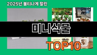 미니식물 2025 최강 쿠팡로켓배송 추천 Top 5