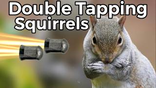 Double Tapping Squirrels with a 9mm!