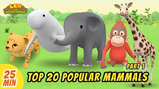 Top 20 Popular Mammals Minisode Compilation (Part 1/4) - Leo the Wildlife Ranger | Animation