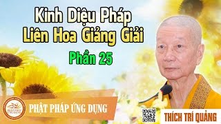 Kinh Diệu Pháp Liên Hoa Giảng Giải phần 25 - Thầy Thích Trí Quảng giảng pháp