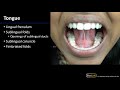 oral cavity associated structures