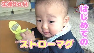 【生後8ヵ月】はじめてのストローマグでお白湯は飲めるのか？【赤ちゃん】