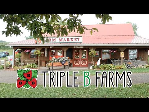 What To Expect For Fall Family Fun 2021 At Triple B Farms - YouTube