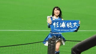 ＜2022.8.11西武戦＞ファイターズガール「恋のマイアヒ」