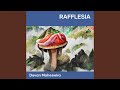 Rafflesia