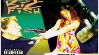 Reel Big Fish - Skatanic