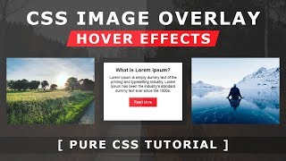 Css Image Overlay Hover Effects - Pure Css Tutorial - How To Create Image Hover Overlay Effects