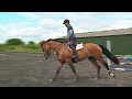 jay halim rides his canter circle with poles exercise