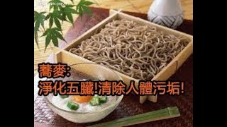 蕎麥:淨化五臟!清除人體污垢!