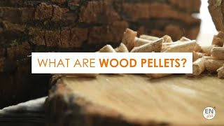 What are Wood Pellets