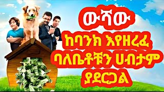 🔴👉ያሰለጠኑት ውሻ ባንክ እየዘረፈ ይታሰራል | mert film | kokeb film | tineshua cinema | donkey tube