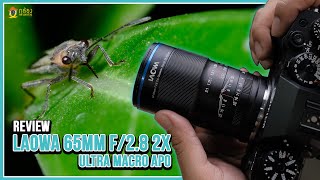 รีวิว LAOWA 65mm F/2.8 2x Ultra Macro Apo