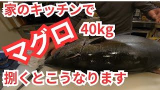 自宅キッチンでマグロを捌く！