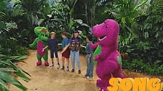 That's What an Island Is! 💜💚💛 | Barney | SONG | SUBSCRIBE