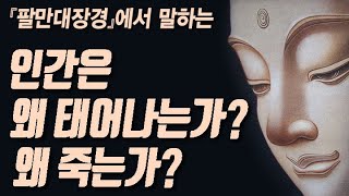 [관상]🙄📕『팔만대장경』에서 말하는, 인간은 왜 태어나는 것인가? 왜 죽는 것인가?🌈✨삶에 고통과 괴로움을 벗어나는 최고의 지름길은?