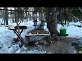 lintujen ja oravan ruokinta birdfeeding squirrelfeeder nature asmr 10.2