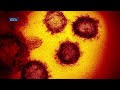 Massachusetts company developing colorful way to detect coronavirus