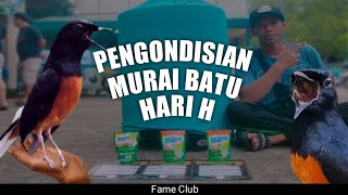 setingan murai pas hari H