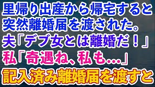 【スカッとする話】里帰り出産から帰宅すると突然、夫「お前みたいなデブとは離婚だ！」と離婚届を渡された。私「奇遇ね、私も…」→記入済みの離婚届を渡した結果