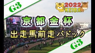 【競馬パドック】京都金杯・前走パドック（2022年）