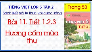 Bài 11. Hương cốm mùa thu Tiếng Việt 5 Tập 2 Kết nối tri thức trang 53