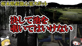 【ゆっくり解説】恐怖度MAX…絶対行くな！京都府にある深泥池がやばすぎる