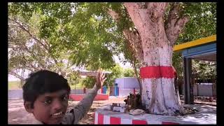 Our Ancestral Temple  எங்கள் குலதெய்வ கோவில் -புங்கமுடையார் சாஸ்தா