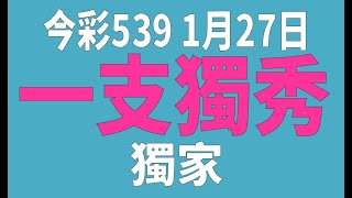 【539鬼谷子】1月27日 上期中08 17 今彩539 一支獨秀