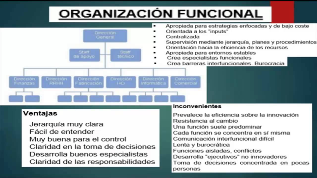 Ejemplo De Organizacion Funcional