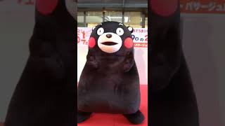 クイズの答えに自信ないと内股になるくまモンさん(笑) #くまモン #大丸福岡天神店 #kumamon #もっともーっと天草知ろうフェア＆マルシェ #内股