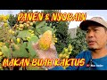 NYOBAIN MAKAN BUAH KAKTUS LANGSUNG DARI POHONYA DI ARAB || BUAH BARSYUMI