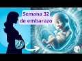 Semana 32 de embarazo ¿Qué síntomas tienes en la semana 32 de embarazo?