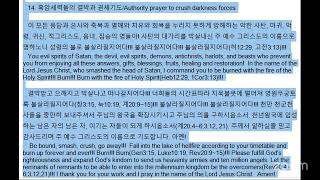 Union 1hour Prayer 연합기도회/Vice Leader: Nancy, Christeen/20241224