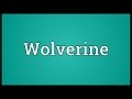 Wolverine Meaning