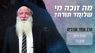 מה זוכה מי שלומד תורה? אל תפספסו!