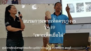 เพาะเห็ดเยื่อไผ่ EP.01