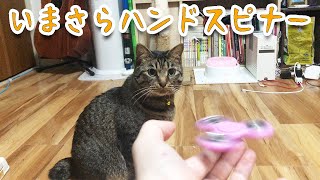 いまさら猫とハンドスピナーで遊んでみた。