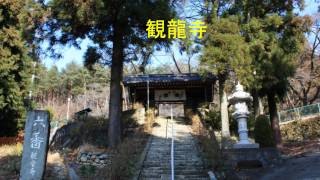 あんずの里（森）～ 観龍寺