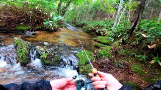 【渓流ルアー】山奥には、大きい魚がいます。