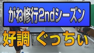 がね修行好調ぐっちぃさんとガチ練【卓球知恵袋】