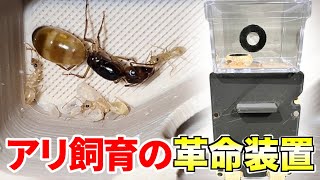 アリを飼育する新商品が神作すぎた！！！