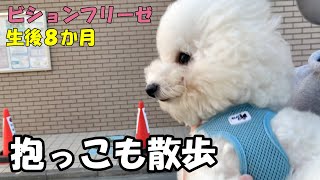 【日常vlog】とある日ビションフリーゼ犬と20代夫婦の休日