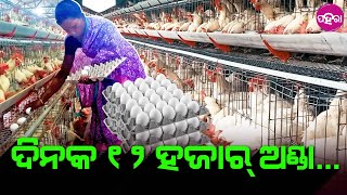 Bargarh News: ମୁଖ୍ୟମନ୍ତ୍ରୀ କୃଷି ଉଦ୍ୟୋଗ ଯୋଜନାନୁ ମାସକ 5 ଲାଖ୍ କମଉଛନ୍ ବରଗଡ଼ର୍ ଇ ଦମ୍ପତ୍ତି...