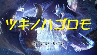 【MHW:IB】トロフィー「空泳ぐ幻」