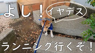 心を鬼にして怖がりな保護犬にランニングをさせる！