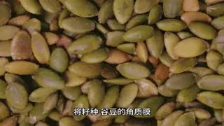 健康新主张：素时刻五谷膳食粉，均衡营养轻松享